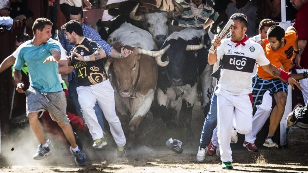 There are more than 15,000 bull-running events around Spain every year. Photograph: EPA/Emilio Naranjo