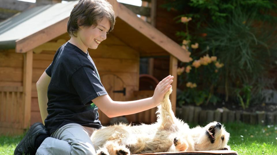 Evan and Max at home in  Co Kildare. Photograph: Dara Mac Dónaill