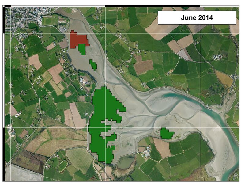 Satellite imaging of the first occurrence of invasive seaweed species gracilaria vermiculophylla in the Clonakilty Estuary in Cork in 2014