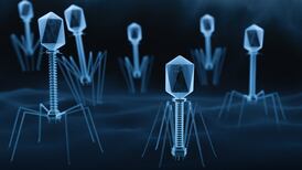 Phage therapy – a case of science fiction preceding fact