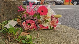 Suspect arrested over hit and run death of woman (67) in Dublin