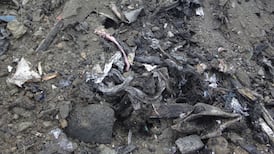 Council says clean-up of State’s largest illegal dump to take six years