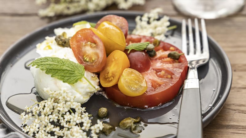 Heirloom tomatoes, buffalo mozzarella and elderflower vinaigrette. Photograph: Harry Weir