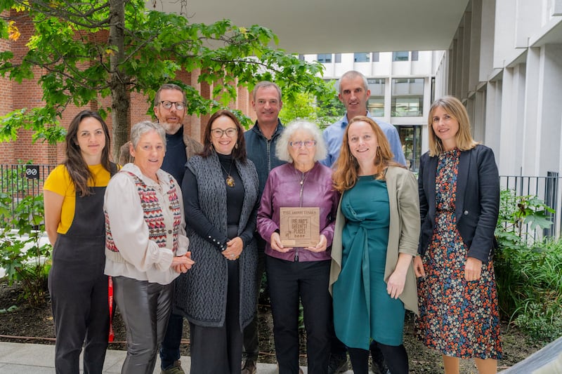 The Dingle Peninsula took home the award for Ireland's greenest place 2025