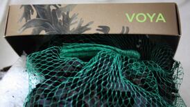 On Beauty: Your skin doesn’t need to detox after Christmas