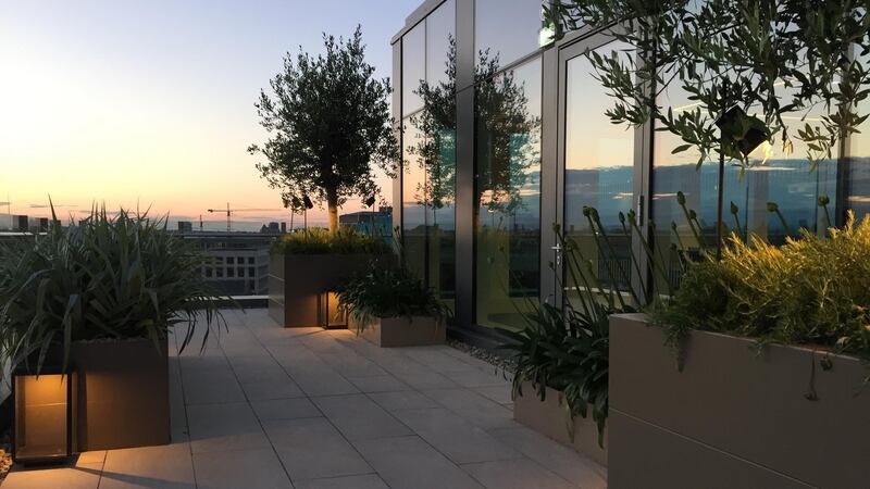 City rooftop garden designed by Paul Martin