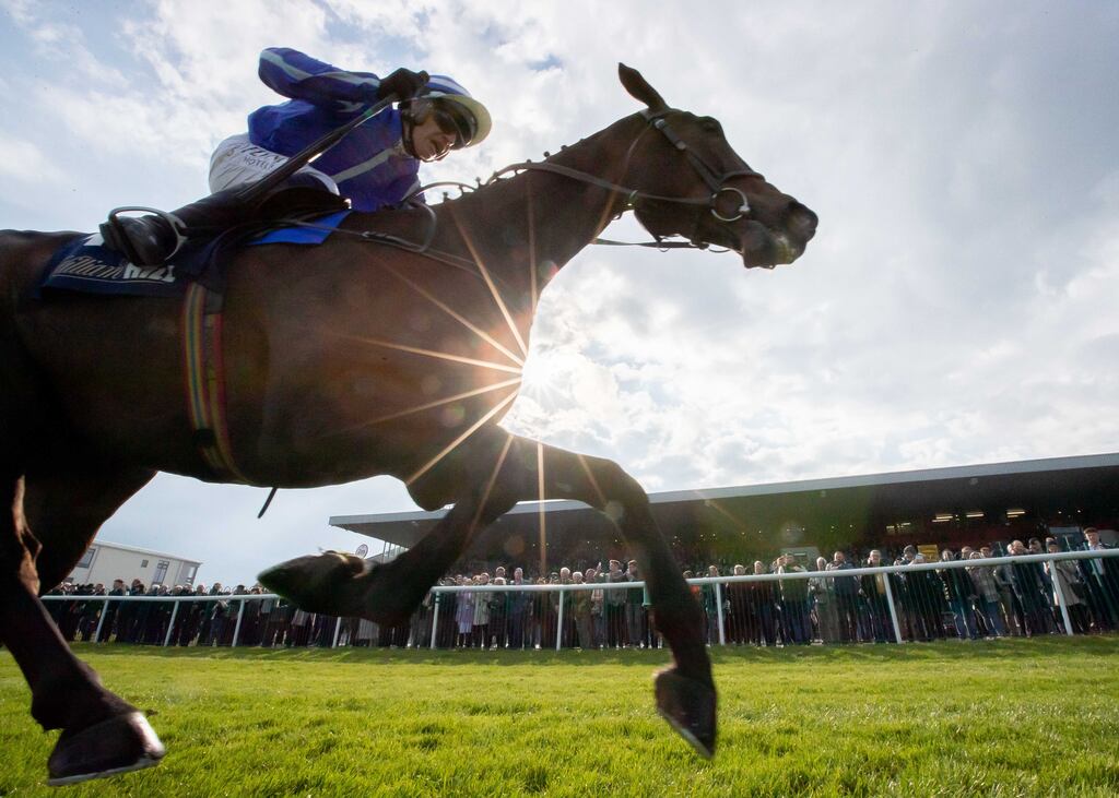 Paul Townend onboard Energumene at the Punchestown Racing Festival in 2022. The nine-year-old is hotly tipped for the William Hill Champion Chase at this year's festival. Photograph: Morgan Treacy/Inpho