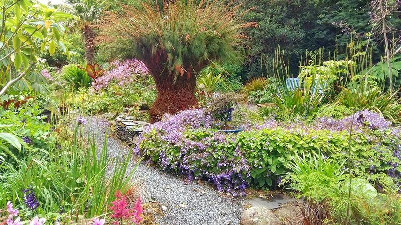 Cluain na dTor gardens in Donegal. Photograph: Seamus O’Donnell