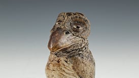 An ugly bird with a pretty high price