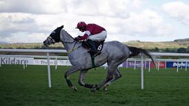 Disko eases to Champion Novice Chase victory