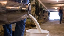 Average dairy farm income in Ireland now above €86,000