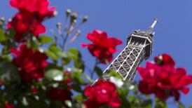 Chinese firm brings 6,400 workers on French holiday