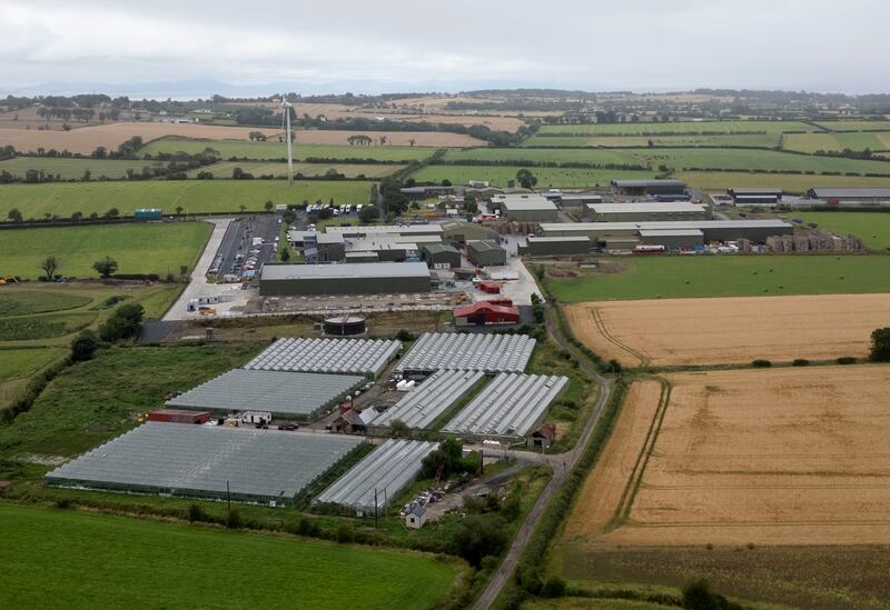 Ballymaguire supplies chilled ready meals and soups to supermarkets from its base in Lusk, Co Dublin. Photograph: Alan Betson