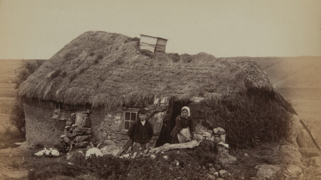 Colleen Taylor demonstrates the value of thinking about a mud cabin as a 'biotic ecosystem' shared by people and animals