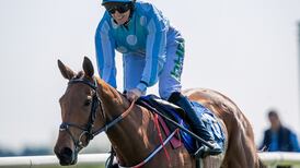 Honeysuckle keeps up unbeaten record on seasonal debut at Fairyhouse