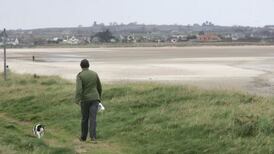 Protective wall to be put on Portrane beach to protect homes from erosion