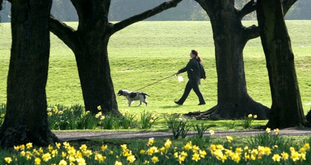 Fairview Park on a Spring day. Photograph: Dara Mac Dónaill/The Irish Times