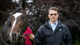 Aidan O’Brien withdraws US Army Ranger from Irish Derby