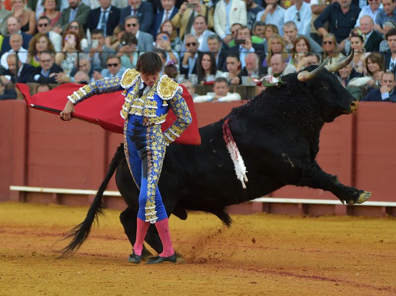 'A symbol of Spain': A bullfighter performs during the Feria de Abril bullfighting festival at La Maestranza bullring in Seville. Photograph: Cristina Quicler/AFP via Getty