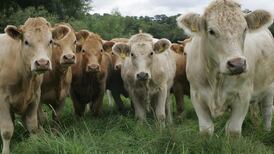 Past 10 years have been Ireland’s wettest in 300, say climate researchers