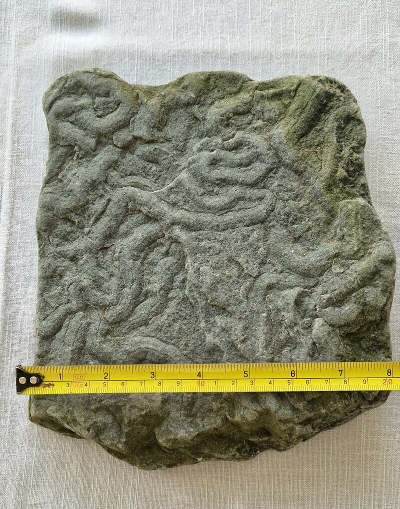 Worm trail fossils. Photograph supplied by Ciaran Fitzpatrick