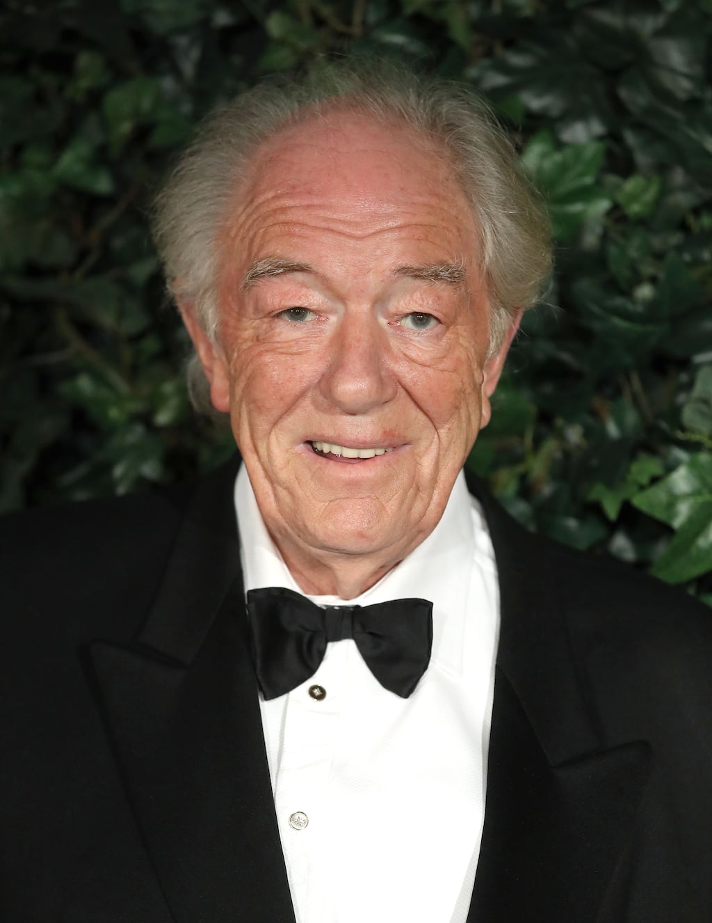 Michael Gambon at the London Evening Standard Theatre Awards at The Old Vic Theatre on November 13th, 2016. Photograph: Mike Marsland/Mike Marsland/WireImage