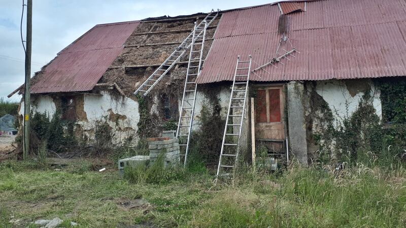 The 200-year-old derelict cottage in Cork where the nest of three seven-week-old barn was discovered by builders during renovation work. Photograph: Alan McCarthy/BirdWatch Ireland