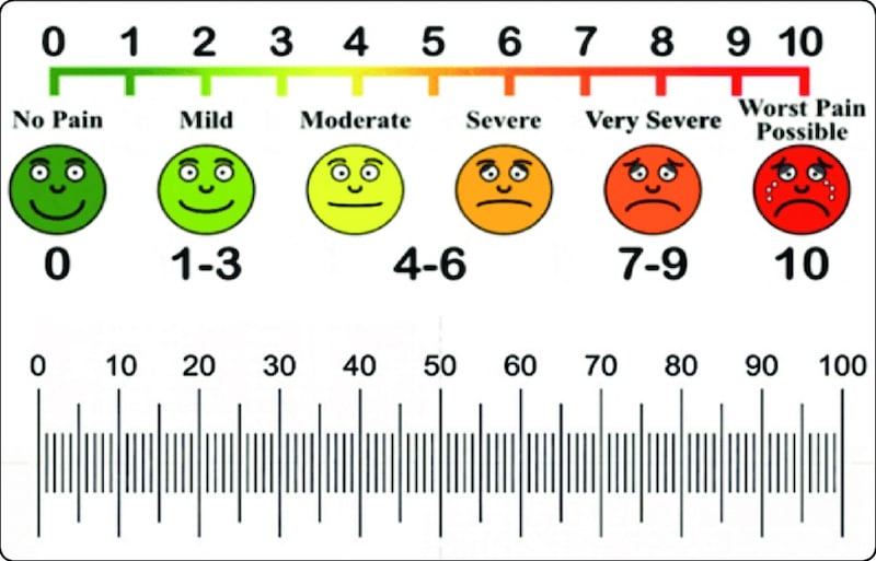 One objective of the project will be to determine the impact of sex differences on pain conditions and responses