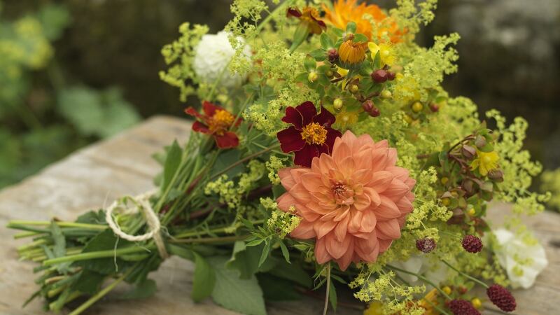 Create your very own cut-flower patch in your garden or allotment to give you armfuls of organic, truly seasonal bouquets