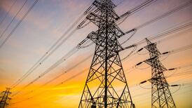 ESB failed to report hazardous cable leaks on 48 occasions