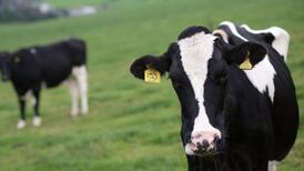 Analysis: Lifting of Irish beef ban to US is good timing for industry