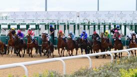 Horse Racing Ireland details ‘devastating’ financial impact of Covid-19