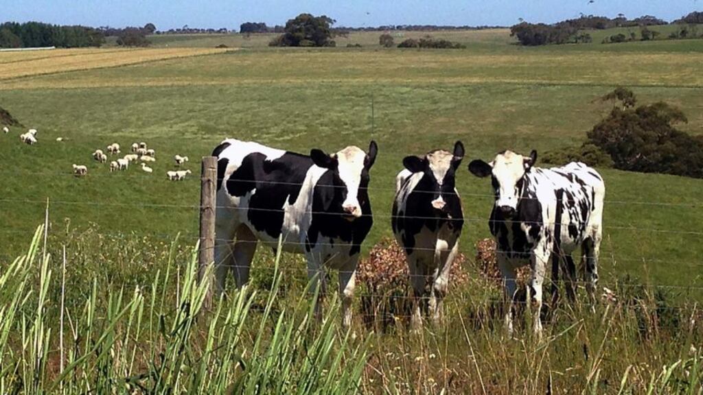 Photograph: Sonali Paul/Reuters
