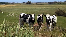 Farmers plan two-day protest at meat factories