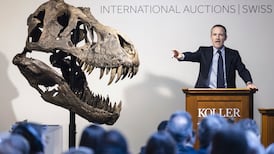 ‘A fair price for the dino’: T-rex skeleton sells for almost €5m at Zurich auction