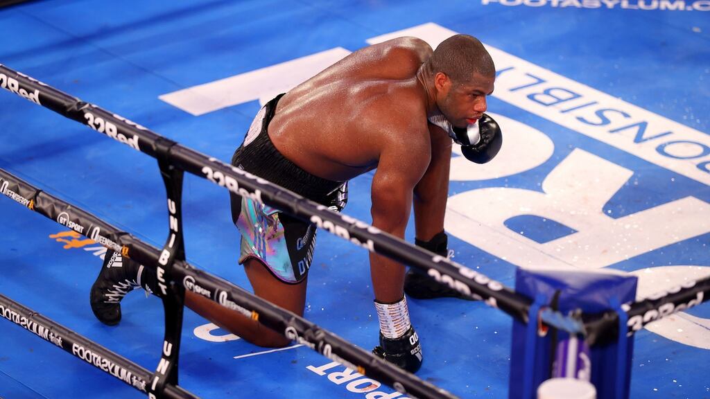 Daniel Dubois takes a knee and is later counted out in his fight against Joe Joyce. Photograph: Getty Images