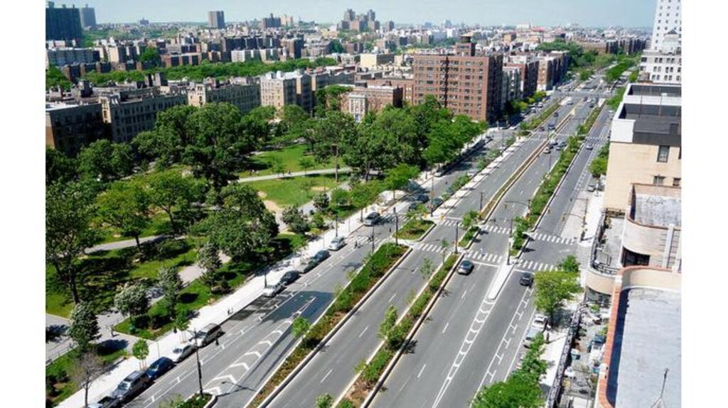Clockwise from main: an aerial view of a section of Katie Holten's The Tree Museum in the Bronx, 'Tree Lady' Katie Holten, and a section of The Tree Museum. Photographs: Katie Holten, Robert Melee, Ken Gobel