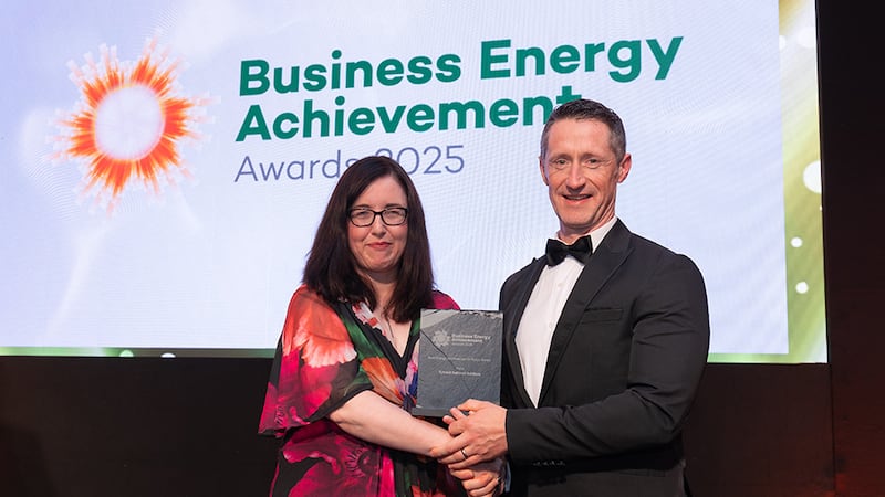 Aideen O'Hora, awards judge, presents the best energy achievement in public sector to Derry Kelleher, Tyndall National Institute