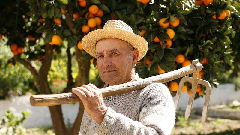 Alentejo boasts a slower pace of life. Photograph: Leonie Corcoran