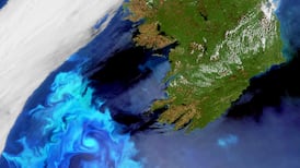 Bloomin’ algae and blood vessels: researchers tell it straight at DCU