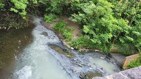 ‘Hundreds’ of fish killed in river Tolka, says Inland Fisheries Ireland
