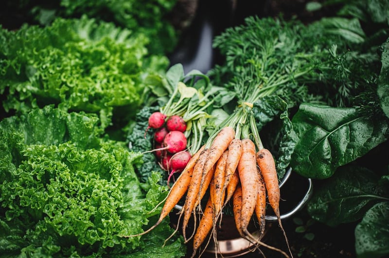 Early May is a good time to direct-sow seed of vegetables including radishes and early carrots. Photograph: Getty Images