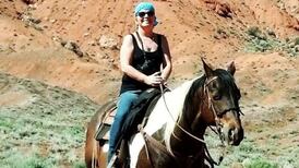 ‘I travel by ferry to work accompanied by dolphins’