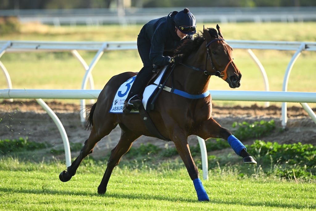 Emilie Siegle riding Absurde during a trackwork session at Werribee Racecourse in Melbourne. Photograph: Vince Caligiuri/Getty