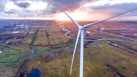 Bord na Móna looks to fast track innovation journey with accelerator