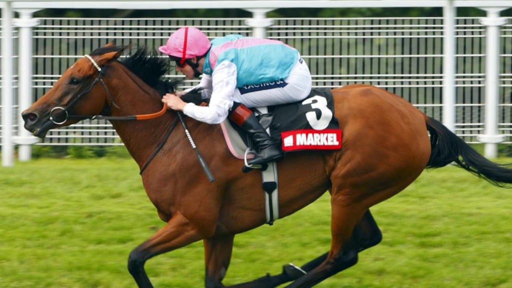 Tom Queally on multiple Group One winner Midday who has given birth to a foal sired by former superstar stablemate Frankel. Photograph: Chris Ison/PA