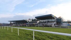 Turf Club investigation apportions no blame for death of five horses