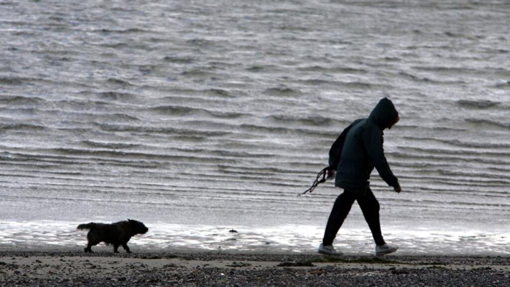 Studies find dog ownership benefits both old and young