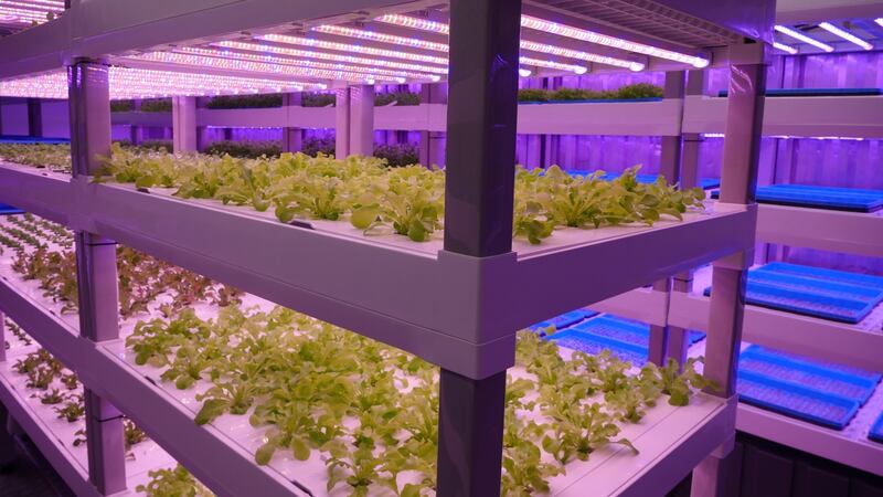 Growing modules – Farmony