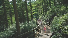 Center Parcs planning  €100m resort in Longford woods